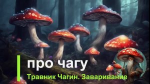 Как заваривать ЧАГУ? Травник Чагин представляет.