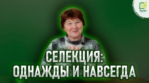 Селекция: однажды и навсегда \ Путь Татьяны Бабайцевой