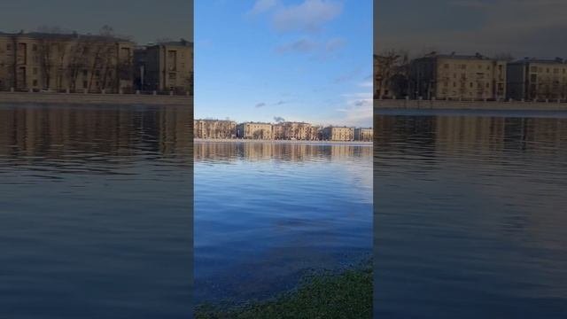 Небольшое наводнение в Питере. 21.11.2024