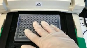 qPCR protocol upload