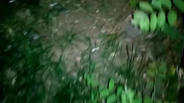 VID 20210701 SÜMÜKLÜ BÖCEK ASİTLERİYLE TEKRAR ÇIKTIM смотреть онлайн