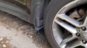 Hyundai Grand SantaFe 2016 рестайлинг - свист шкива коленвала или роликов обводного ремня