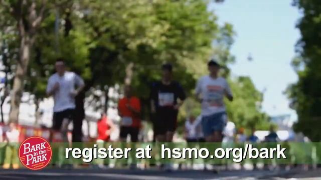 Bark in the Park 2013 - Presented by Purina ONE смотреть онлайн