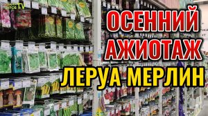 😲 ОПЯТЬ Набрал полную телегу в Леруа! Товары для дома 🏡 и сада! Леруа Мерлен ⚡ обзор новинок