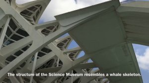 Calatrava's City of Arts and Sciences, Valencia Spain