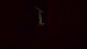 А че он с фонариком бегает