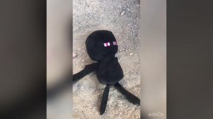 Эндермен идёт гулять