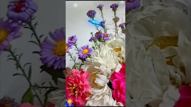 Милый букетик !!! Мой день рождения 🎂5октября 2024 год .Саратов .Восторг 😍 эмоций !!!