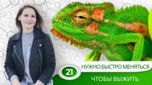 Как без кредита и лизинга построить ДОМ и купить МАШИНУ