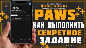 PAWS MYSTERY QUEST ❤️ || Как получить награду в размере 5 000 Paws от Paws MYSTERY Quest.