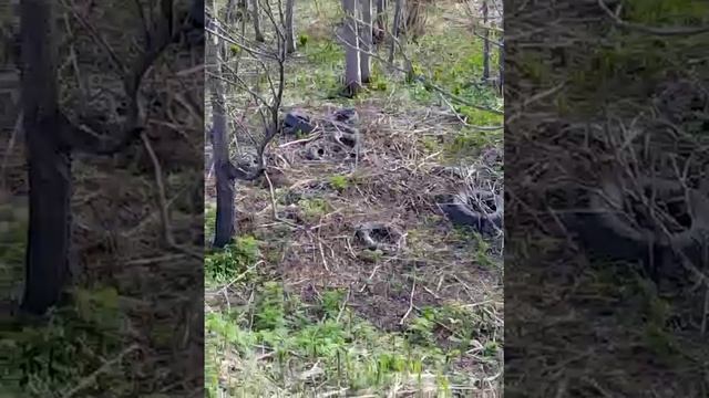 Опасные отходы у воды.Береги.Камчатка.Экология.Экосистема.Заповедный край.Петропавловск-Камчатский