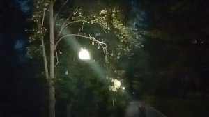 Вечерняя прогулка по санаторию Днестр Каменка Приднестровье