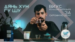 Пробуем недорогой Дянь Хун с больших чайных деревьев