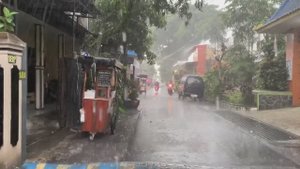Пригороды, пропитанные проливным дождем. Прогулка под тихие звуки дождя. Релаксация. Сон.
