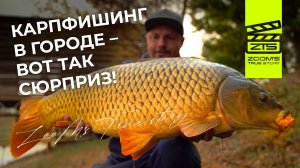 Карпфишинг в городе - вот так сюрприз! / ZooM’s True Story