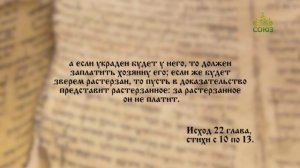 Евангелие 26 ноября. Я есмь пастырь добрый: пастырь добрый полагает жизнь свою за овец