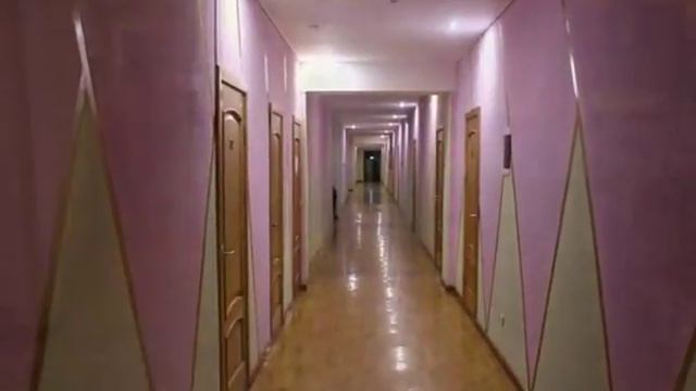 зеленый бор смотреть онлайн