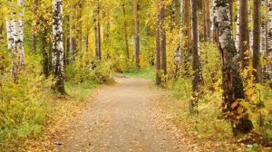 Золотая осень России