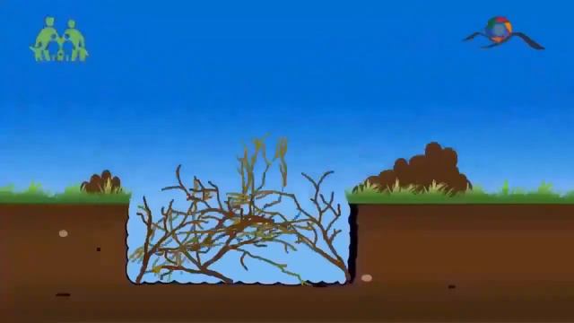 Грядка Хольцера на участке без воды #чудо #спасение #огород #сад #полив