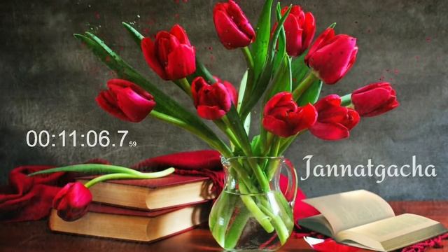 Аёллар учун енг керакли маьруза°Абдуллох домла°Abdulloh domla°Ilmnuri смотреть онлайн