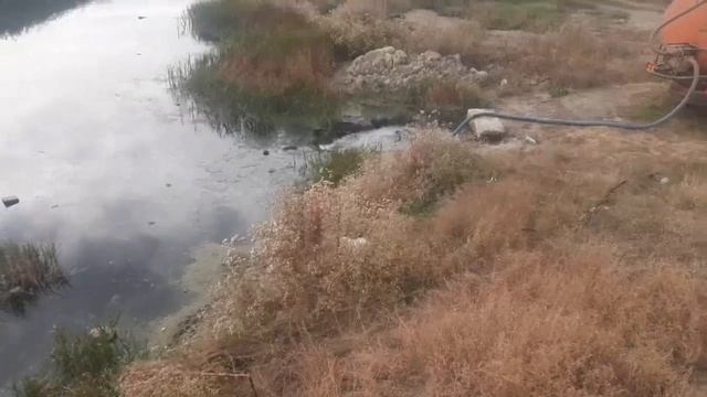 Головожопа тергромади украла воду у жаб. смотреть онлайн