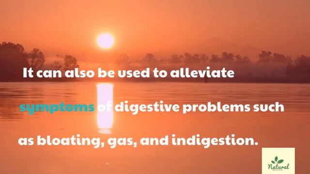 Natural Remedies You Need to Know for a Healthier Life смотреть онлайн