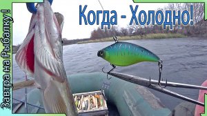 Похолодание сказывается на клеве щуки в прудах. Рыбалка Воронеж.