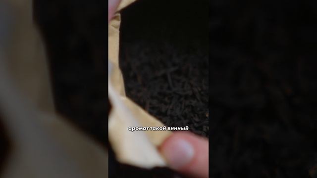 Что такое черный чай?
