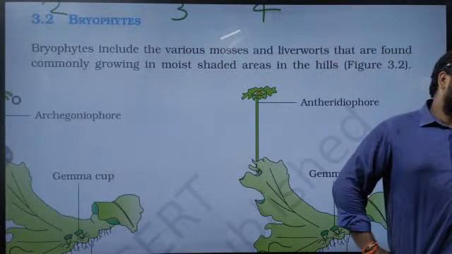 #PLANTKingdom #Part-3 #Topic:Algae  #BIOLOGYByHariOmTiwari #ForNEET-Foundation 2022 Students