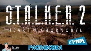 S.T.A.L.K.E.R. 2 🎁 распаковка