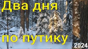 Прошёл по большому путику проверил предварительно взведённые капканы опять проказы медведей