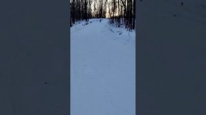 14.01.2023 Лес. Снег. Биатлон.