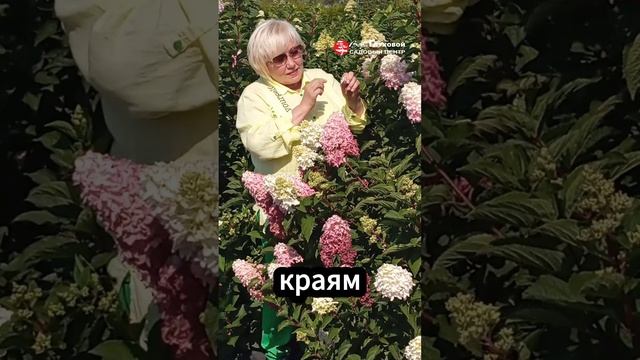 Всегда в ТОПЕ 😎