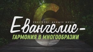 Галатам 6. Евангелие — гармония в многообразии (Алексей Коломийцев)