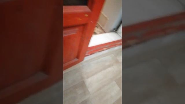 24 декабря 2021 г. смотреть онлайн