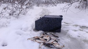 В этой маленькой реке очень много рыбы.зимняя рыбалка на мормышку.