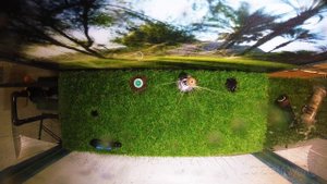 MP Rotator + PRO Spray PRS40