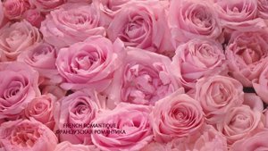 Camay French Romantic new