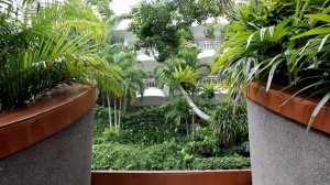 Mom Tri's Villa Royale