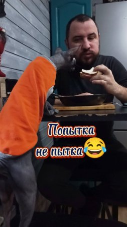 Попытка, а может  прокатит?!