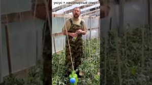 Аммиак + уксус = гербицид или удобрение? Иван Русских Процветок Садоводство