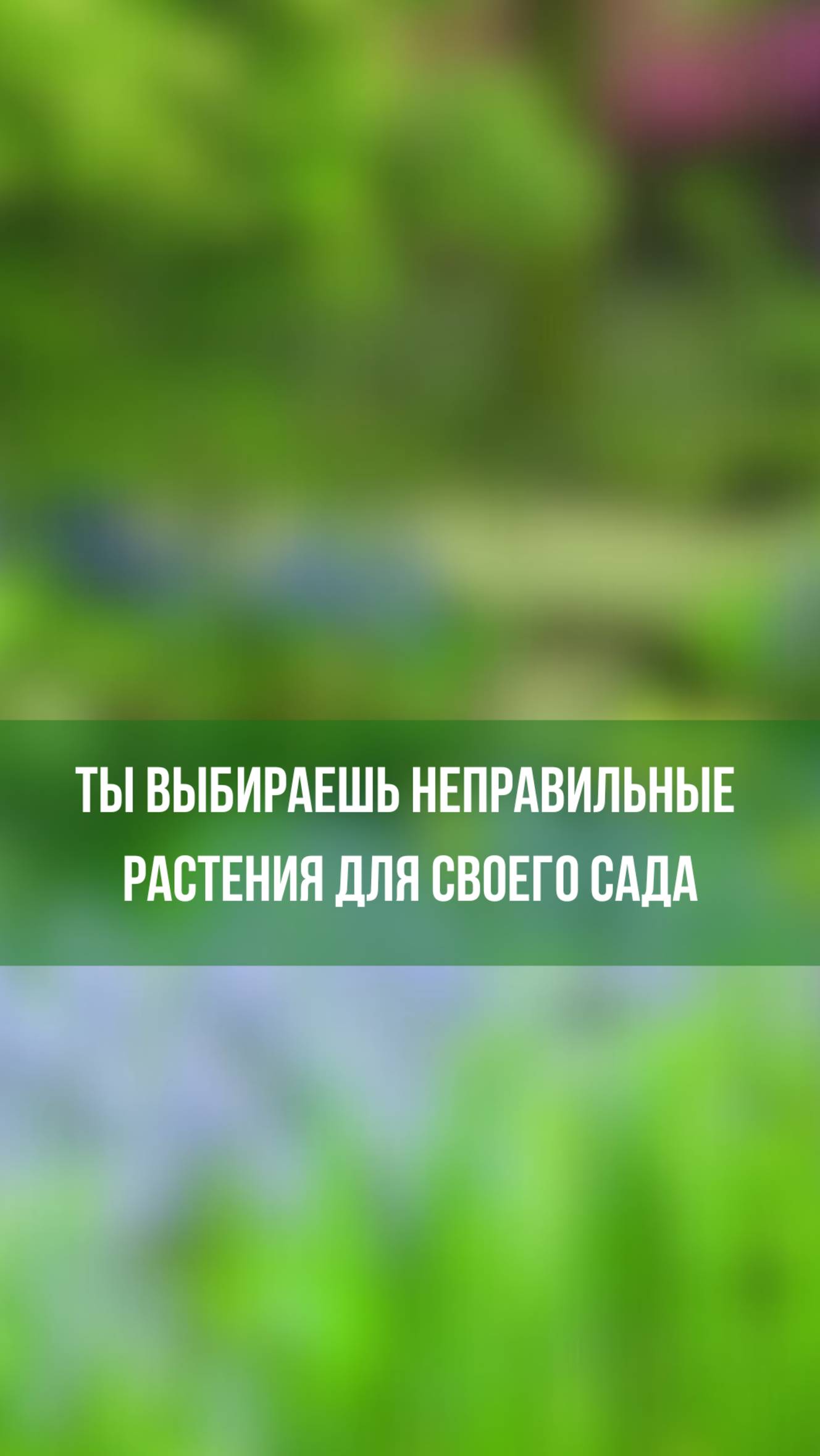 Ты выбираешь неправильные растения для своего сада!