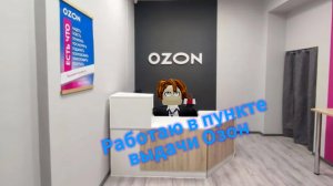 Работаю в пункте выдачи озон или же озон симулятор