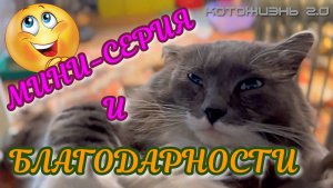 19.11.24 - Мини-серия и благодарности