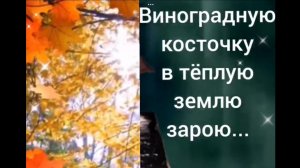 ВИНОГРАДНУЮ КОСТОЧКУ в ТЁПЛУЮ ЗЕМЛЮ ЗАРОЮ ( В. Кикабидзе) 🎶