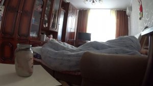 Страшный Пранк над сестрой| Голова в банке !!!!