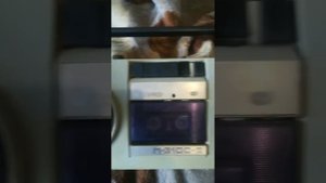 Магнитофон СКИФ М-310С-2...