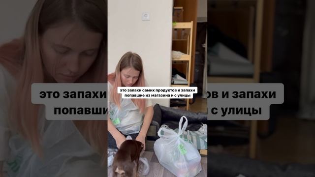 Домашняя таможня