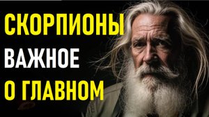 ⚠️Характеристика СКОРПИОНА.⚠️