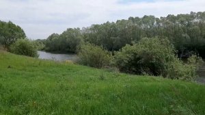 САСОВО.ВСТРЕЧА НА ЦНЕ.#сасово #природароссии